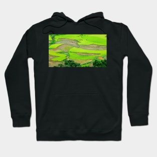 Vue sur les rizières dans le Nord Vietnam Hoodie